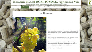 Domaine Pascal BONHOMME à Viré-Clessé - RIEL
